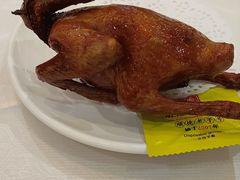 -有腥气私房菜·寻味顺德