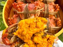 -七的湖·晚芳亭·阳澄湖农家菜·大闸蟹(莲花岛店)