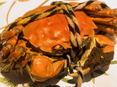 -上海虹桥宾馆味翠餐厅