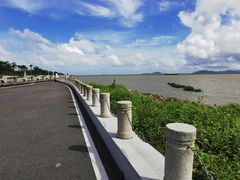 -芒洲湿地公园