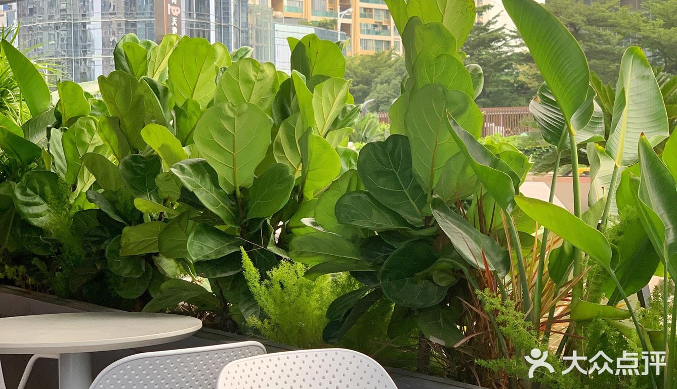 发现一家宝藏新店🆕