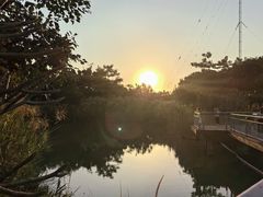 -福田红树林生态公园