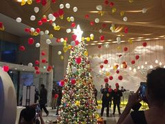 -苏州金鸡湖文博诺富特酒店