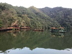 -天台国家森林公园水上茶乡九鹏溪