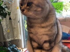 -平行世界·猫咖(首经贸店)