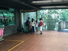 -新加坡飞禽公园
