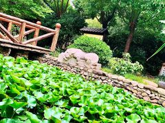 -观唐（国际）度假村温泉