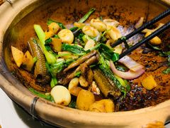 啫啫黄鳝-广东道至正餐厅(区庄店)