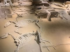 -洛阳周王城天子驾六博物馆