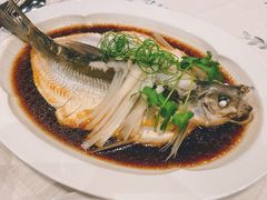 钱湖四宝-朋鱼-宁波柏悦酒店·钱湖渔港
