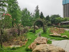 -映月湖公园