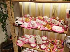 -猫咪博物馆(顶澳仔猫街店)