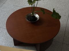 -Mado兜满满