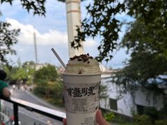 -茶颜悦色(岳麓山顶店)