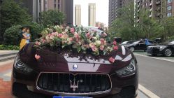 -蚂蚁婚车