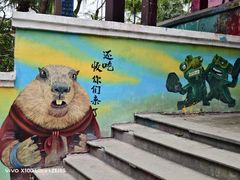 -黄桷坪涂鸦艺术街