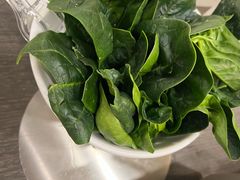 趴地菠菜-阳坊胜利涮羊肉(阳坊老店)