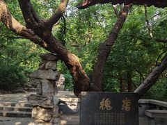 -千佛山风景名胜区
