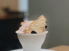 樱花杯-猫里有甜