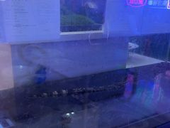 -海韵之星邮轮水会(明发商业广场店)