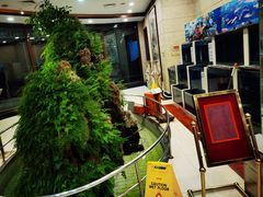 -月坛宾馆-聚仙楼餐厅