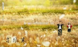 点击看大图 -维纳斯婚纱摄影(鞍山店)