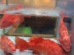-阿伟海鲜楼·福建菜(延寿店)