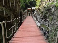 -牛背梁国家森林公园
