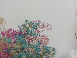 -凡碧诗毛孔收细