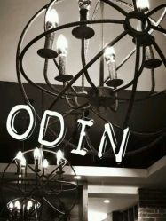 picture-ODIN 奥丁形象设计 
