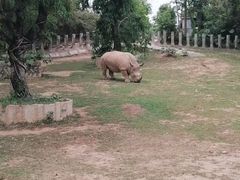 -深圳野生动物园
