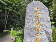 -普洱太阳河森林公园