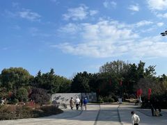 -三垟湿地