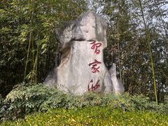 -习家池