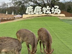 -盈香心动乐园
