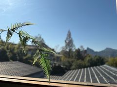 -宴武夷·匠心闽味(印象大红袍店)