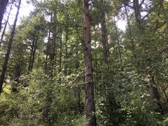 -白草畔自然风景区