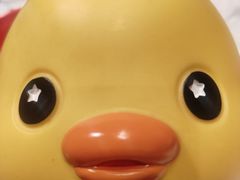 -沈师傅四季烤鸭小馆(荣盛华府店)