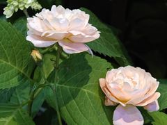 -外婆烧.老杭帮菜(庆春店)