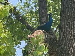 -J Create城市露营咖啡·简餐·宠物(上海动物园店)