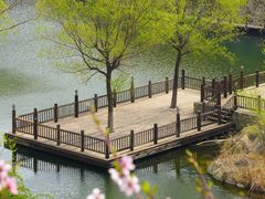 -九如山休闲旅游度假区