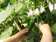 -第六空间国际家居(旺墩路店)