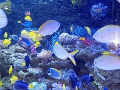 -正佳极地海洋世界