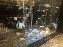 -红辣椒·川菜·火锅(张杨路店)