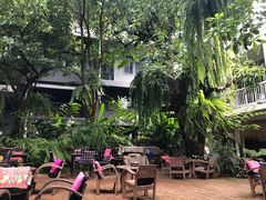-Fern Forest Cafe