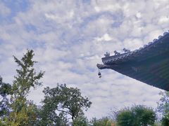 -杭州半山国家森林公园