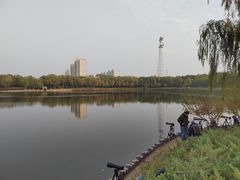 -大兴滨河森林公园