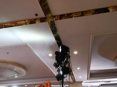 -成都绿洲大酒店(春熙路太古里店)