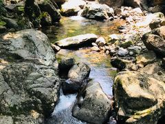 景点-白云源风景区