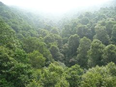 -驼梁风景区